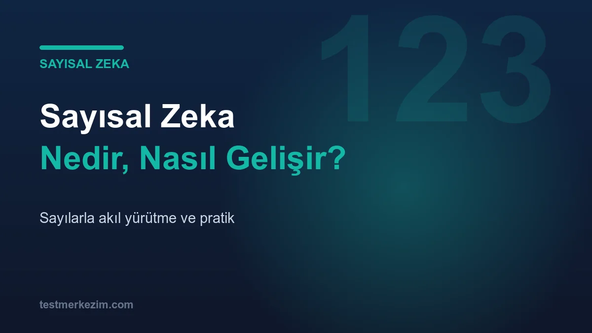 Sayısal Zeka Nedir ve Nasıl Gelişir?