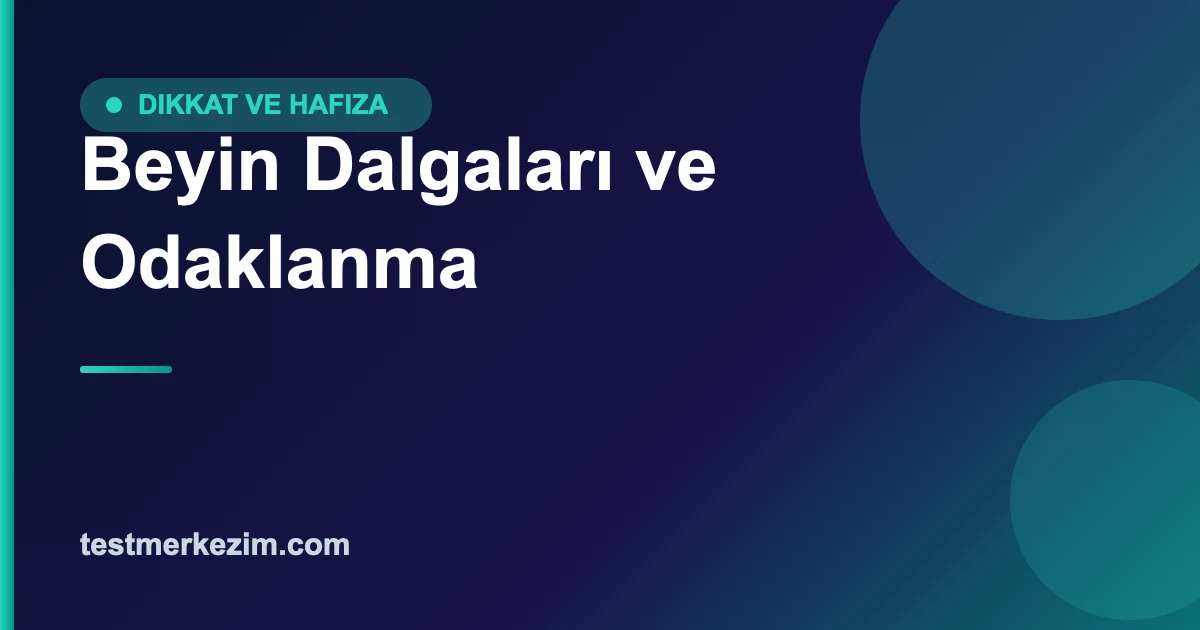 Beyin Dalgaları: Alfa, Beta ve Teta ile Odaklanma